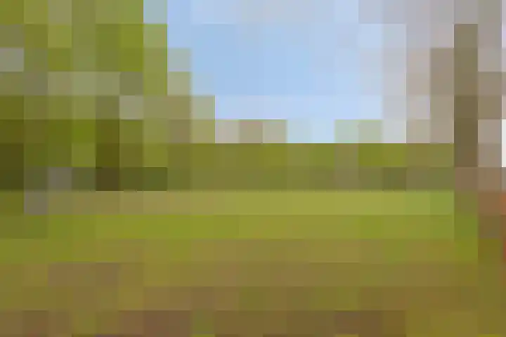 Leeuwenbeklaan 8 Waalre thumbnail 40