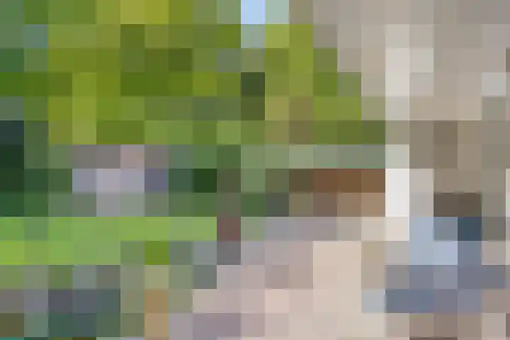 Leeuwenbeklaan 8 Waalre thumbnail 41