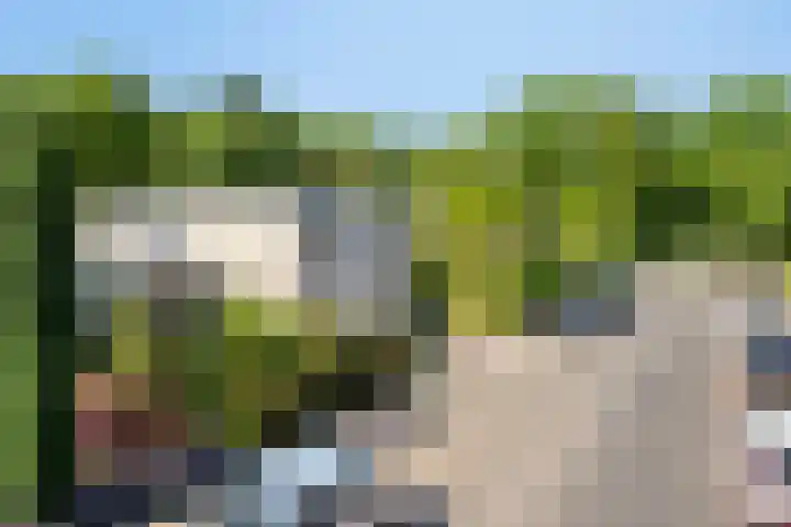 Leeuwenbeklaan 8 Waalre thumbnail 8