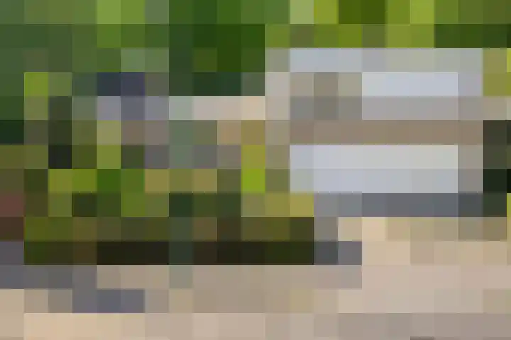 Leeuwenbeklaan 8 Waalre thumbnail 9