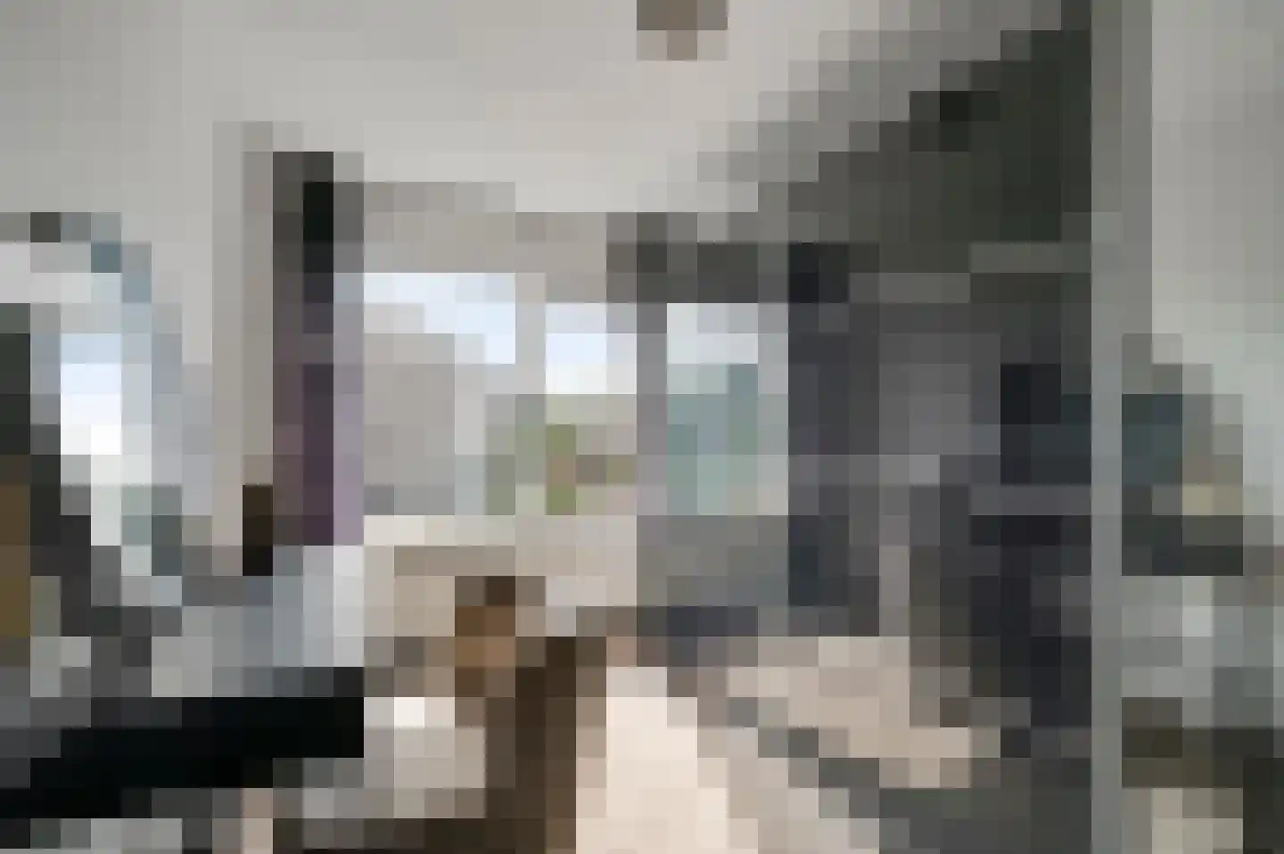 Leeuwenbekstraat 11 Maarheeze thumbnail 21