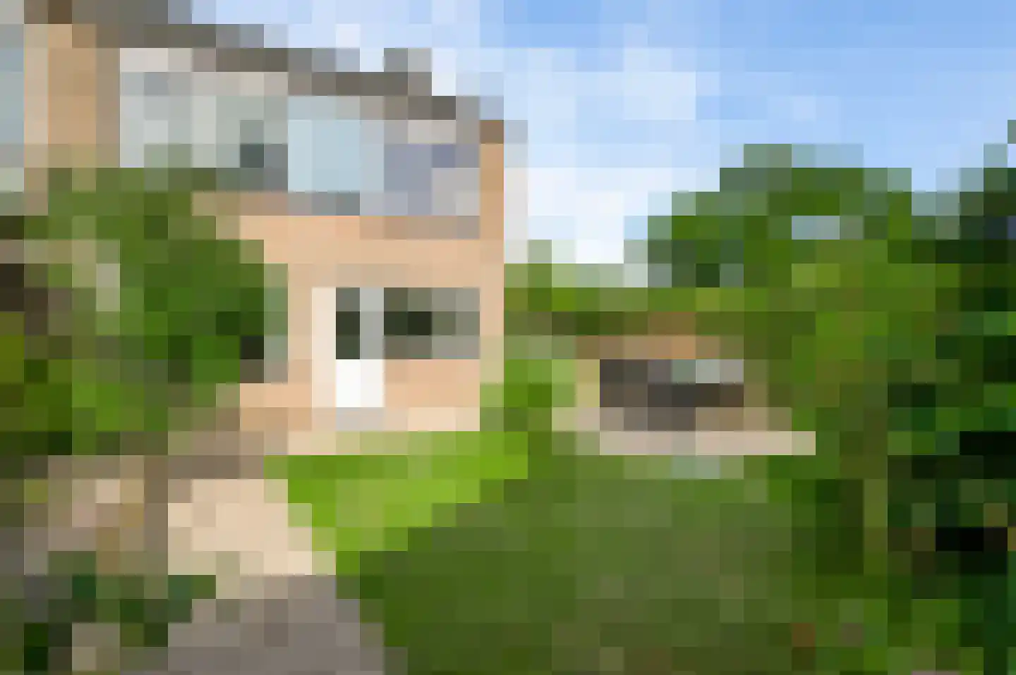 Leeuwenbekstraat 11 Maarheeze thumbnail 26
