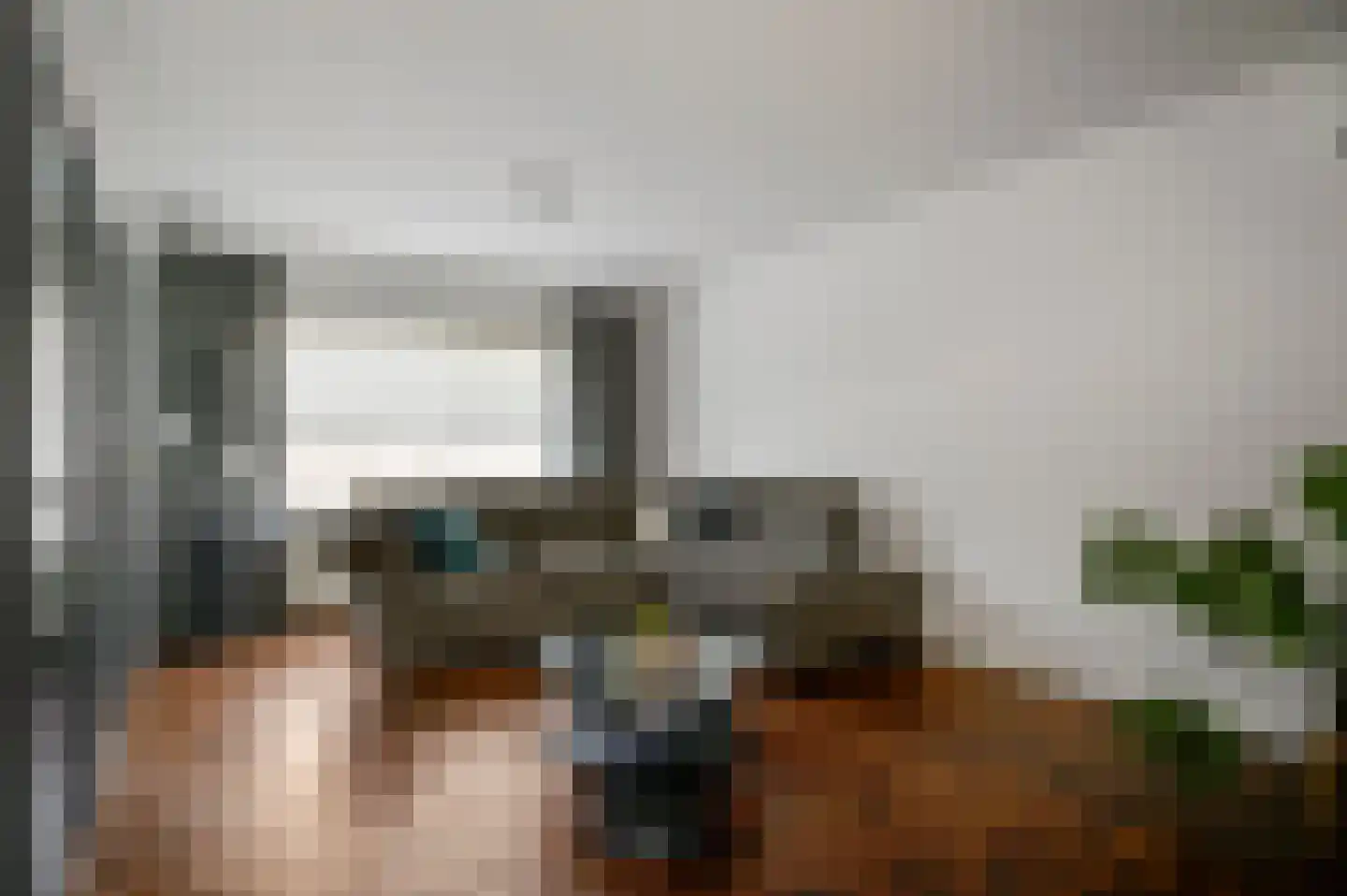 Leeuwenbekstraat 11 Maarheeze thumbnail 4