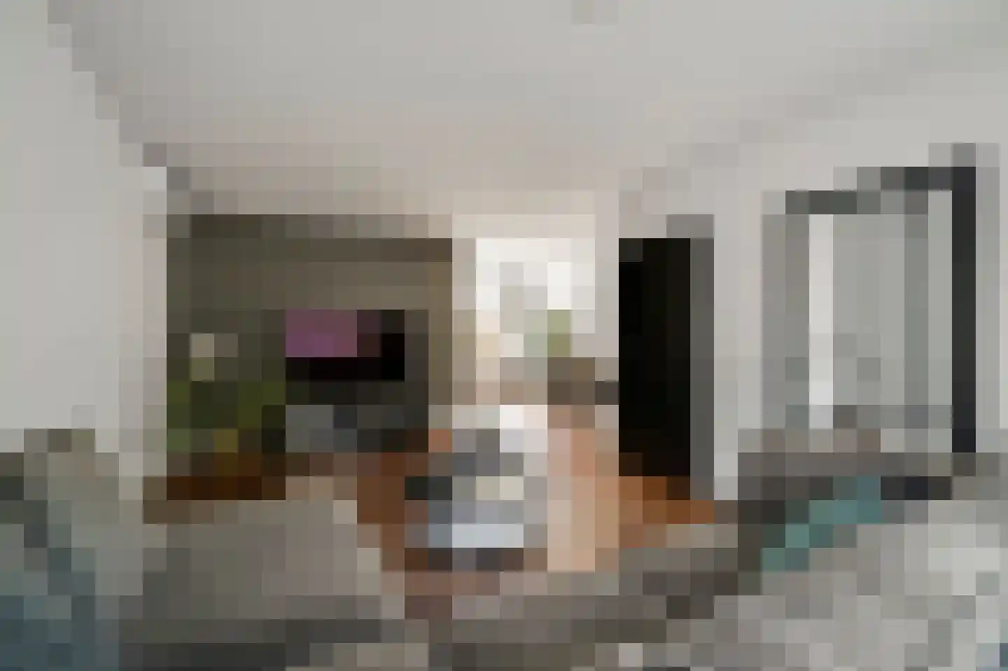 Leeuwenbekstraat 11 Maarheeze thumbnail 6