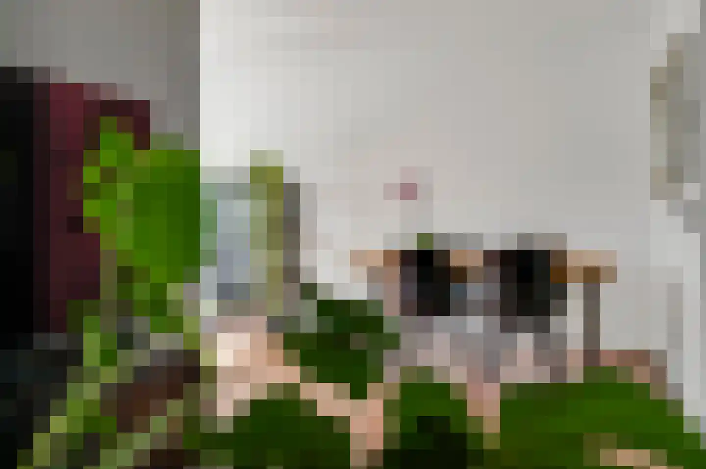 Leeuwenbekstraat 11 Maarheeze thumbnail 8