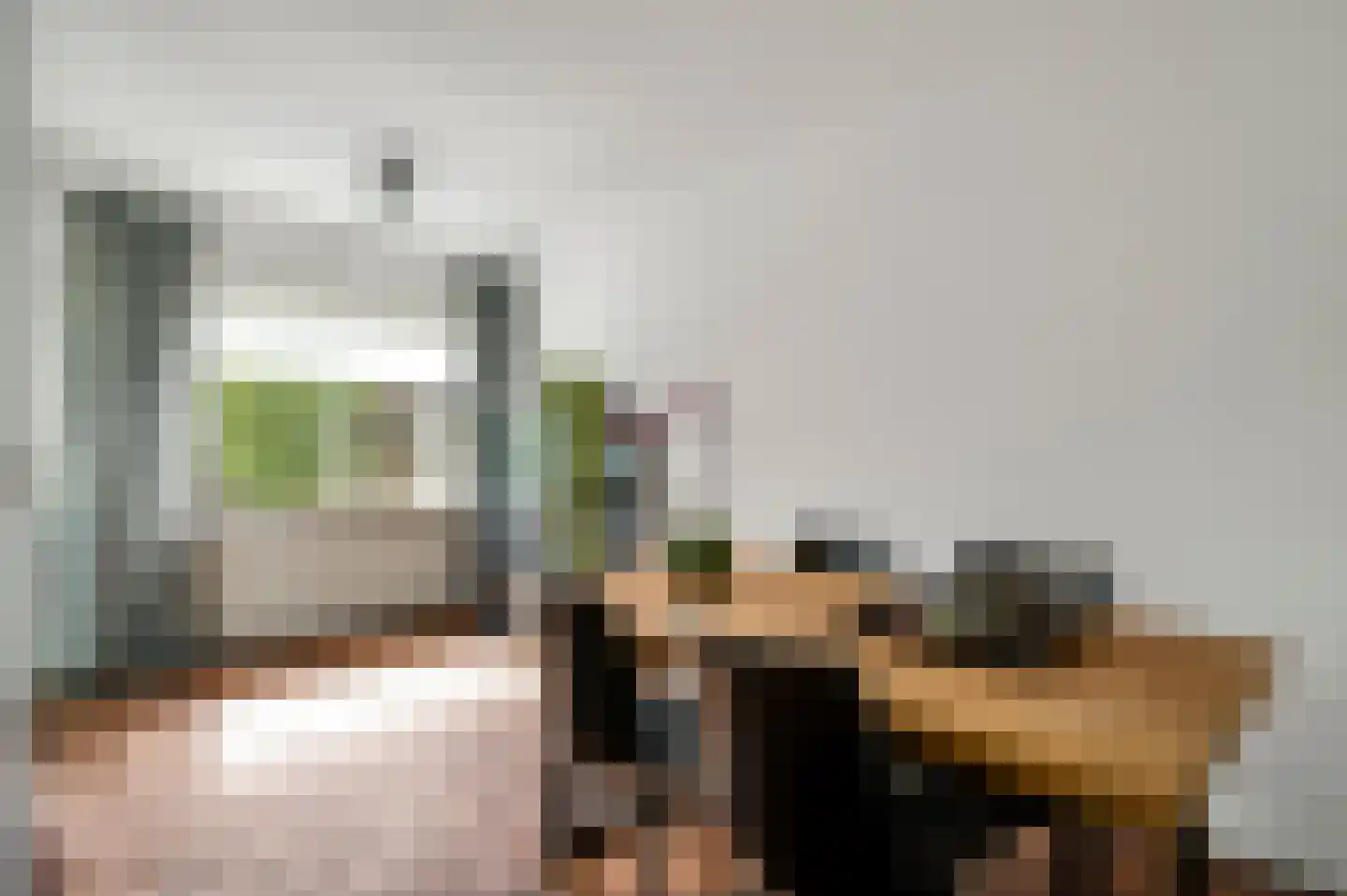 Leeuwenbekstraat 11 Maarheeze thumbnail 9