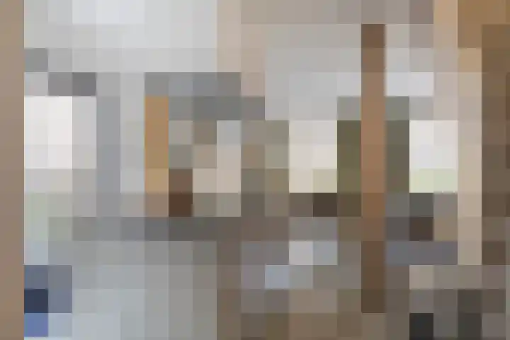 Leeuwenbekstraat 13 St. Willebrord thumbnail 10