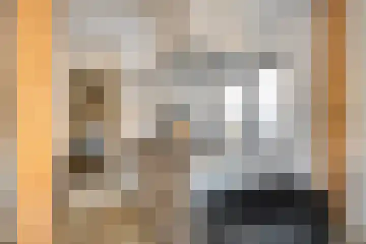 Leeuwenbekstraat 13 St. Willebrord thumbnail 7