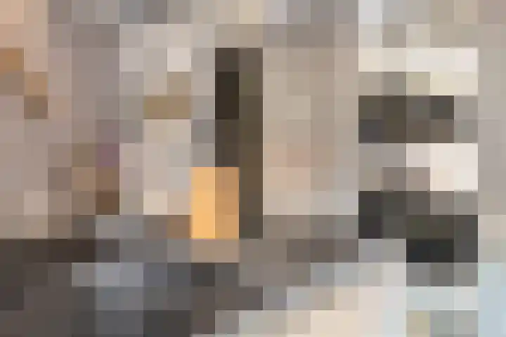 Leeuwenbekstraat 13 St. Willebrord thumbnail 9