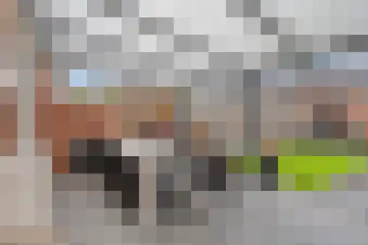 Leeuwenbekstraat 2 Ommen thumbnail 27
