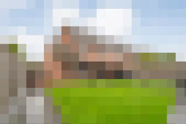 Leeuwenbekstraat 2 Ommen thumbnail 35