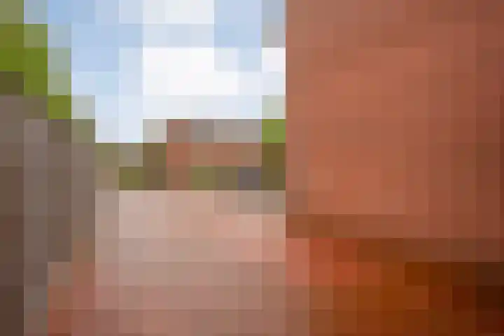 Leeuwenbekstraat 2 Ommen thumbnail 37