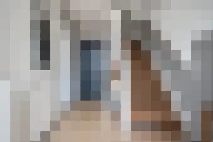 Leeuwenbekstraat 2 Ommen thumbnail 4