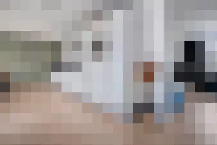 Leeuwenbekstraat 2 Ommen thumbnail 9