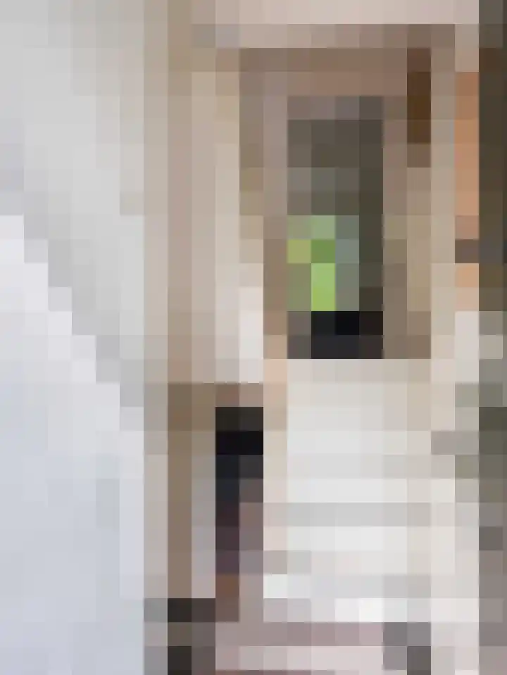 Leeuwenbekstraat 22 Alkmaar thumbnail 7