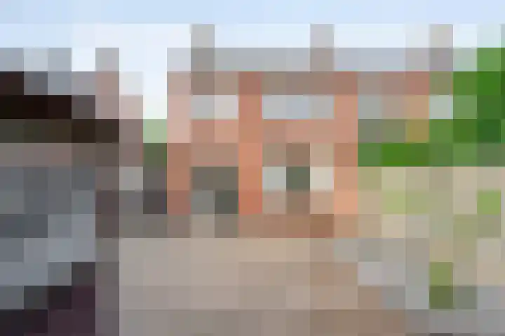 Leeuwenbekstraat 29 Ommen thumbnail 32