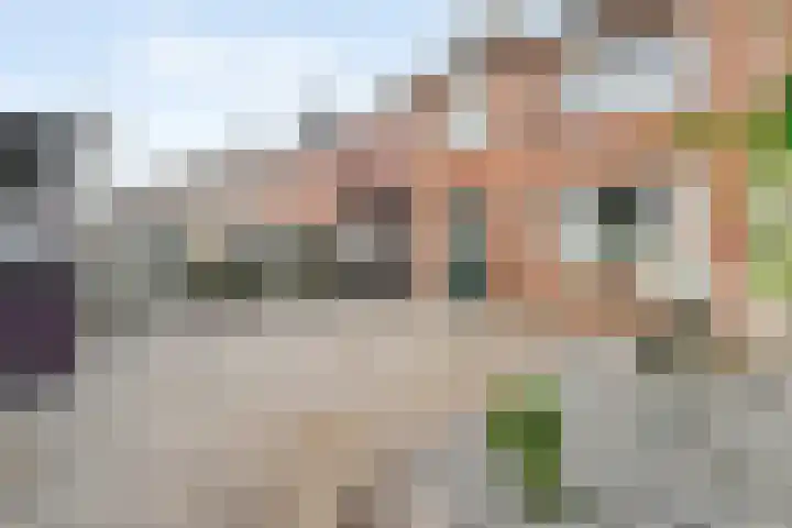 Leeuwenbekstraat 29 Ommen thumbnail 33