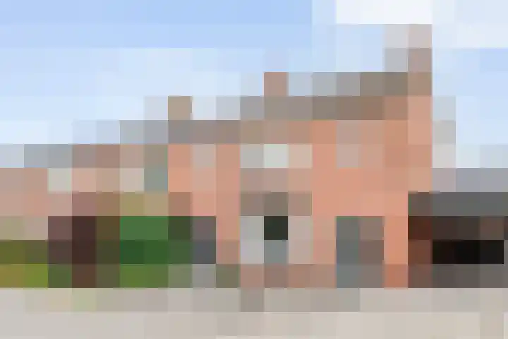 Leeuwenbekstraat 29 Ommen thumbnail 4