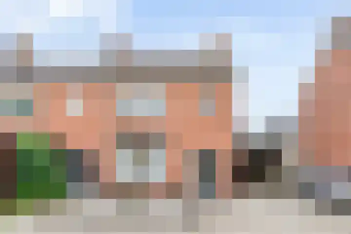 Leeuwenbekstraat 29 Ommen thumbnail 46