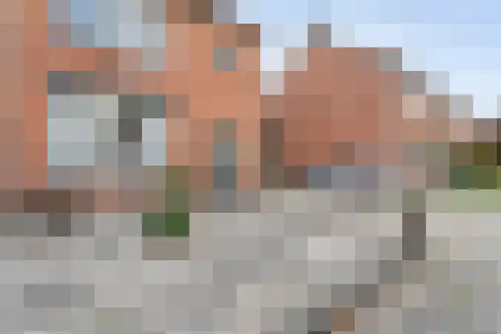 Leeuwenbekstraat 29 Ommen thumbnail 6