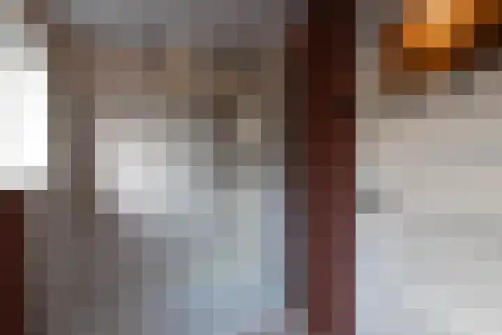 Leeuwenbekstraat 4 Alkmaar thumbnail 12