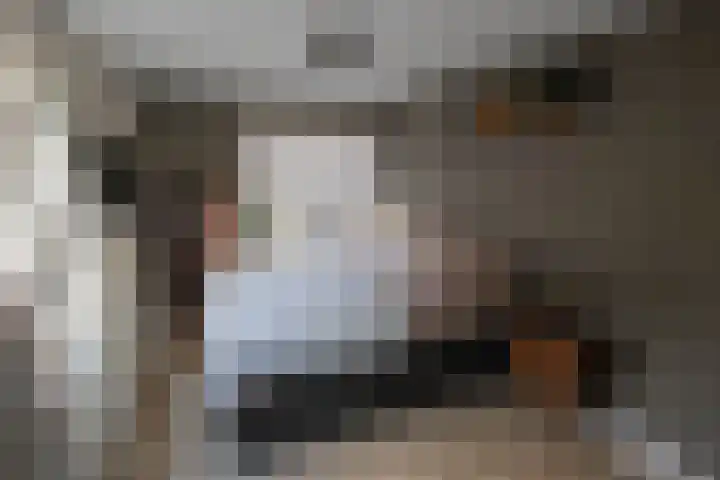 Leeuwenbekstraat 4 Alkmaar thumbnail 18