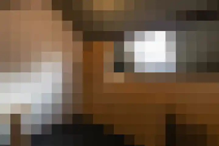 Leeuwenbekstraat 4 Alkmaar thumbnail 21