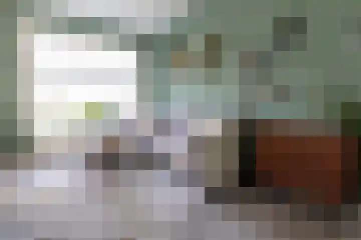 Leeuwenbekstraat 4 Alkmaar thumbnail 4