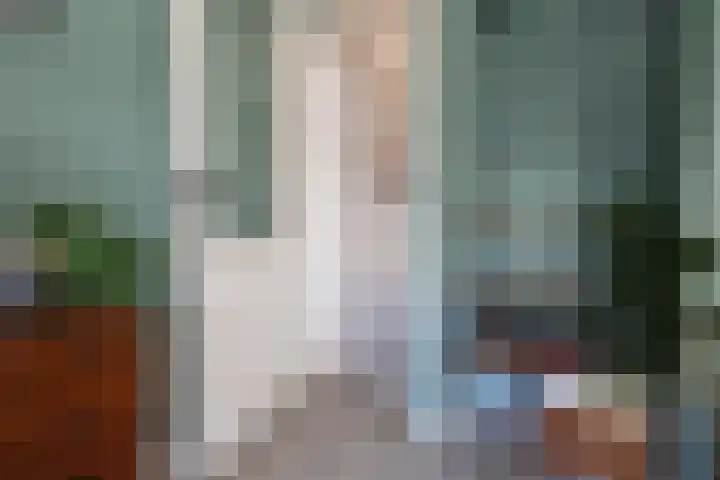 Leeuwenbekstraat 4 Alkmaar thumbnail 8