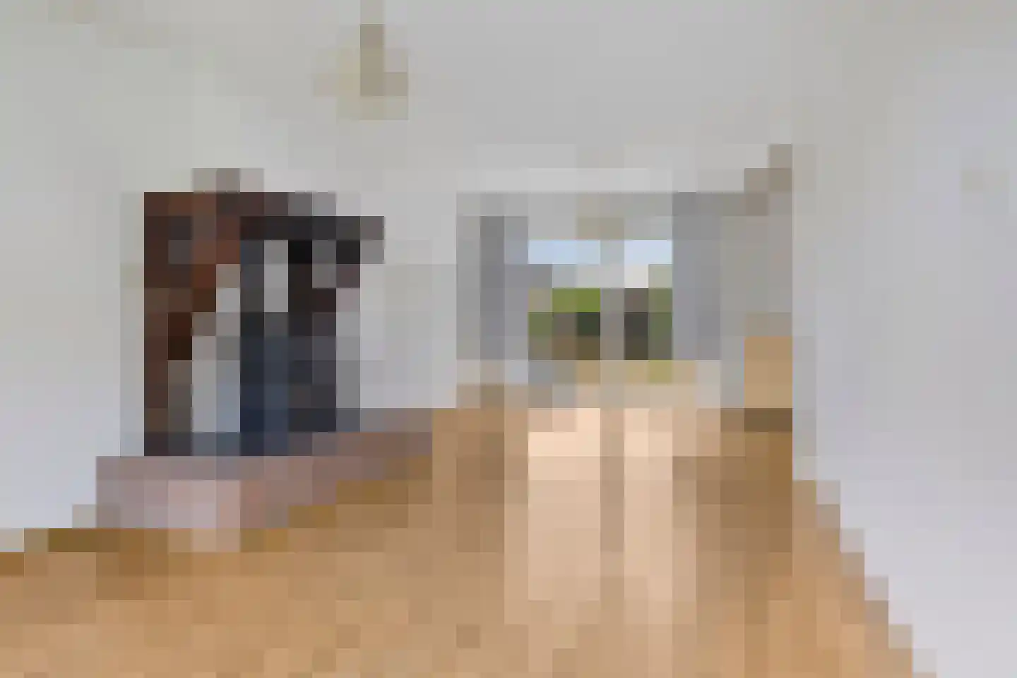 Leeuwenbekstraat 53 Veghel thumbnail 10