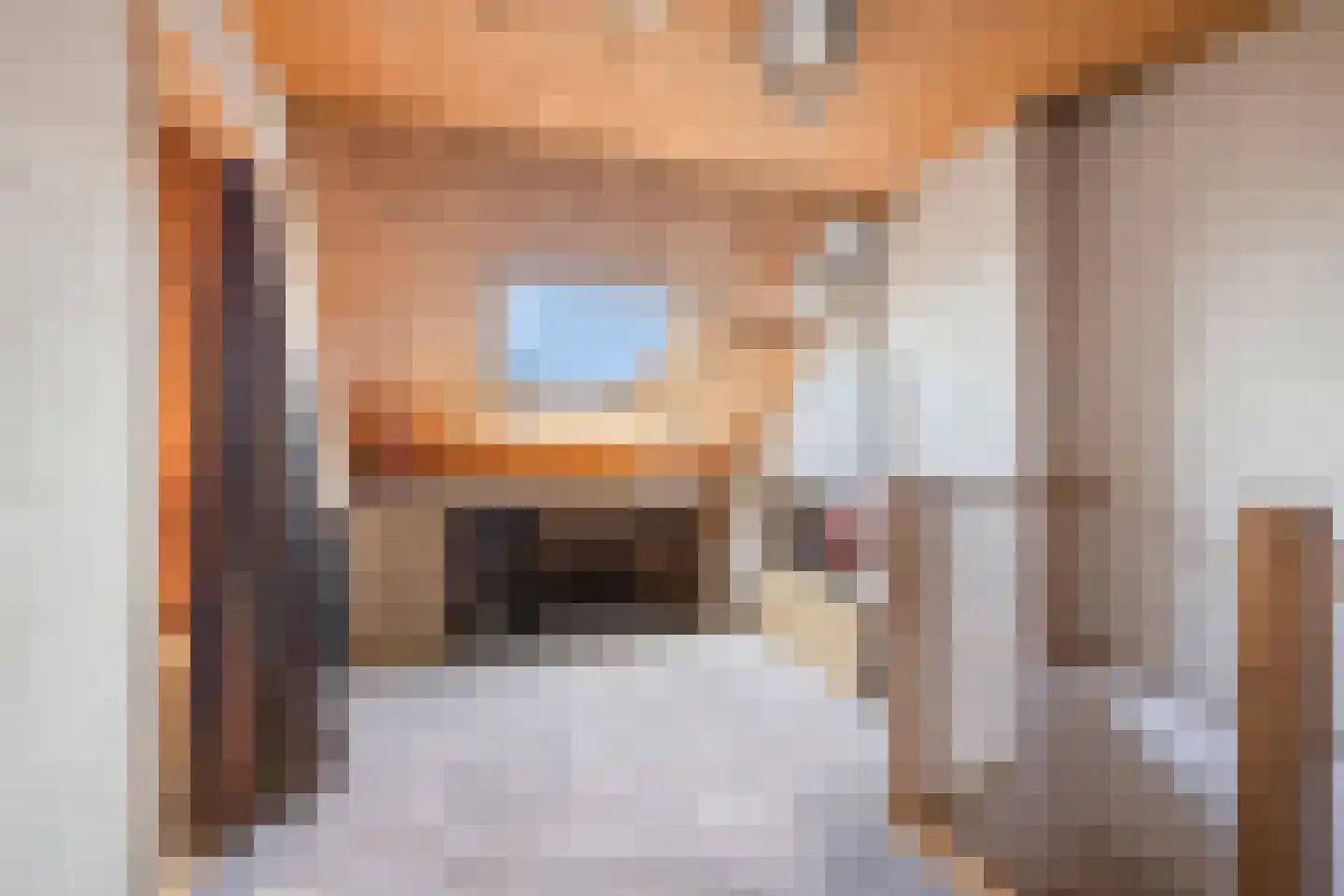 Leeuwenbekstraat 53 Veghel thumbnail 21