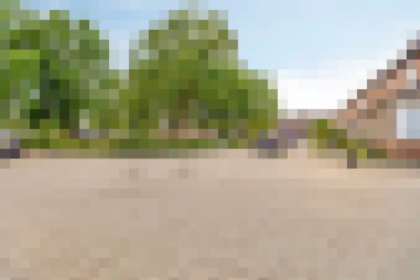 Leeuwenbekstraat 53 Veghel thumbnail 25