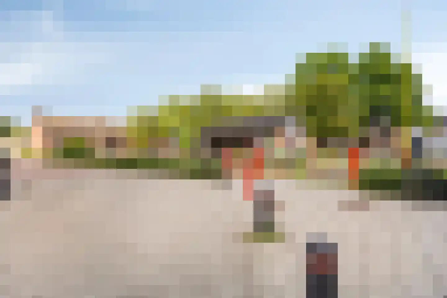 Leeuwenbekstraat 53 Veghel thumbnail 4