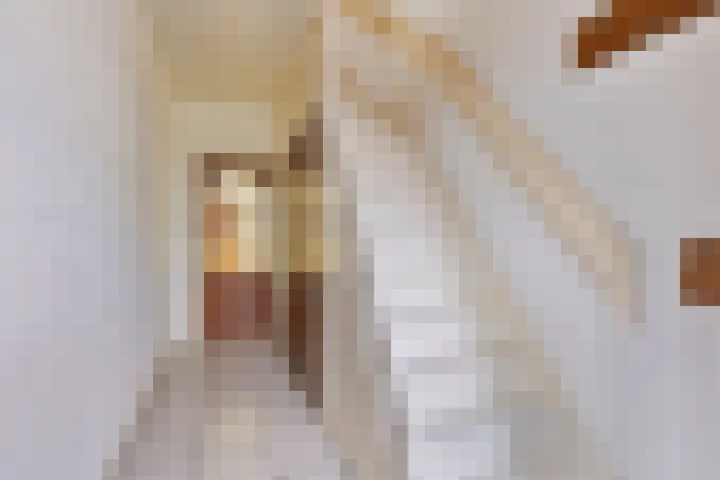 Leeuwenbekstraat 53 Veghel thumbnail 5