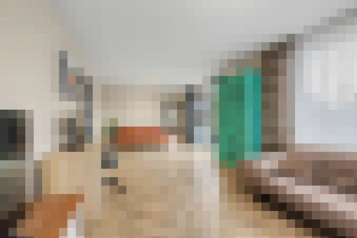 Leeuwenbekstraat 6 St. Willebrord thumbnail 13