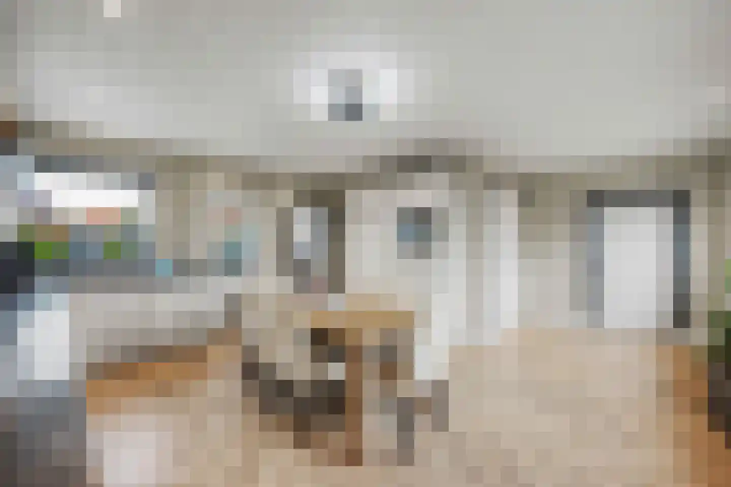 Leeuwenbekstraat 6 St. Willebrord thumbnail 15