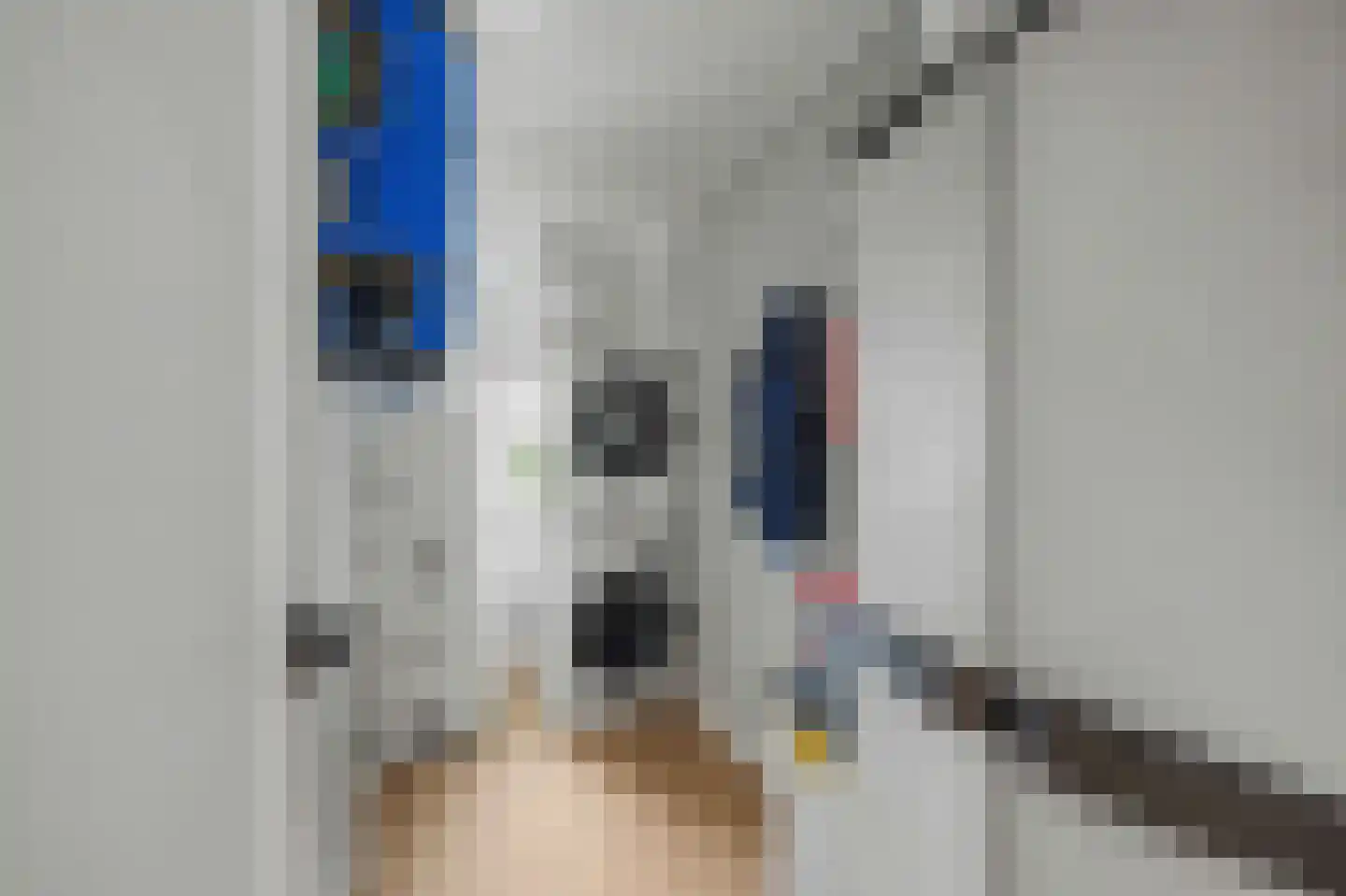 Leeuwenbekstraat 6 St. Willebrord thumbnail 16