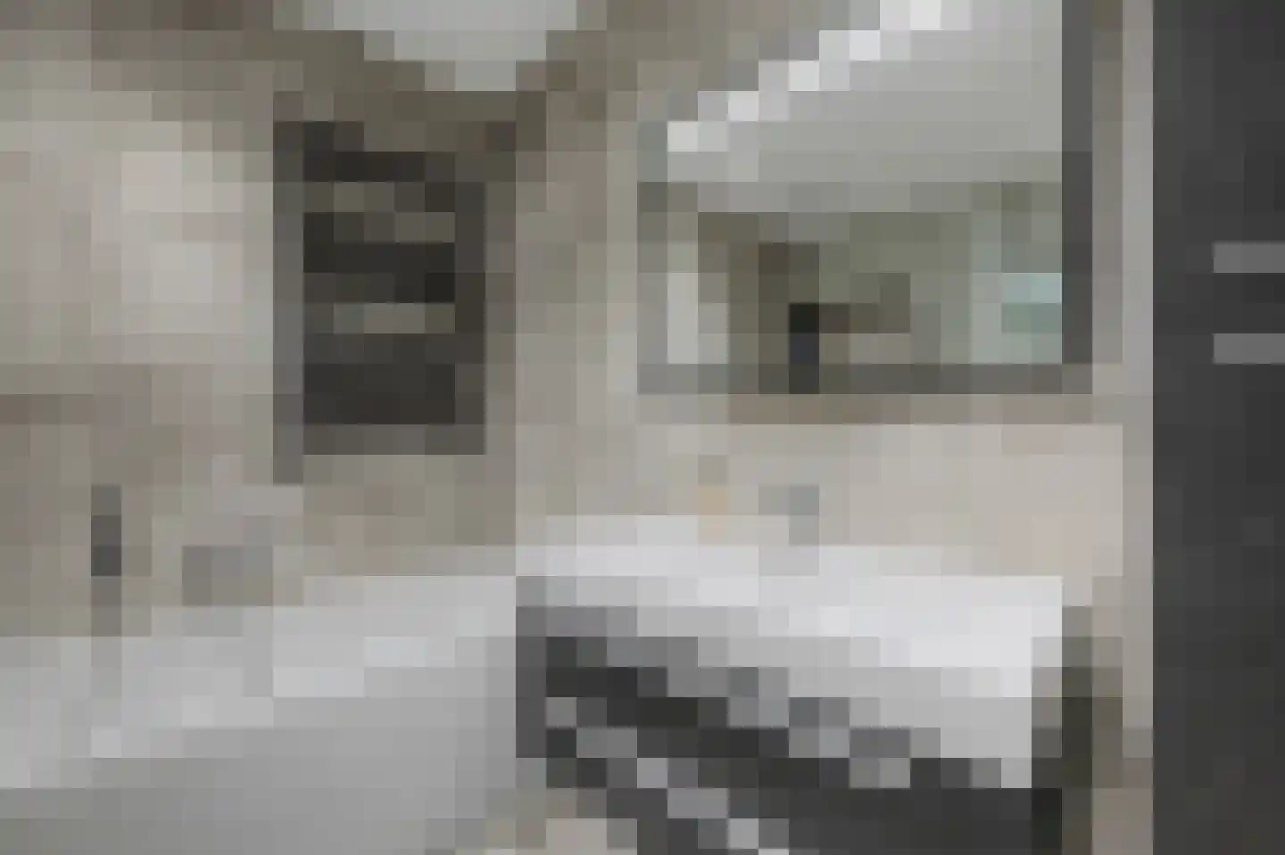 Leeuwenbekstraat 6 St. Willebrord thumbnail 19