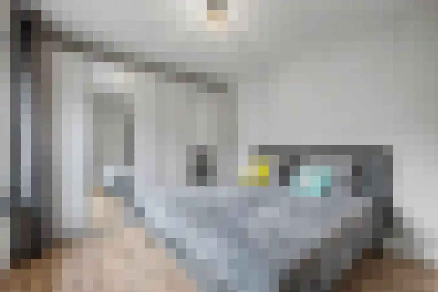 Leeuwenbekstraat 6 St. Willebrord thumbnail 21