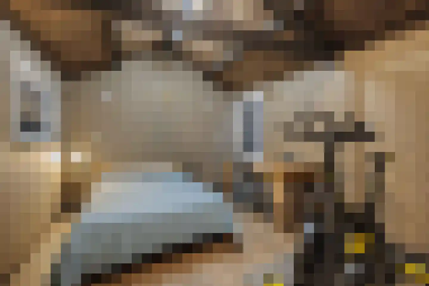 Leeuwenbekstraat 6 St. Willebrord thumbnail 33