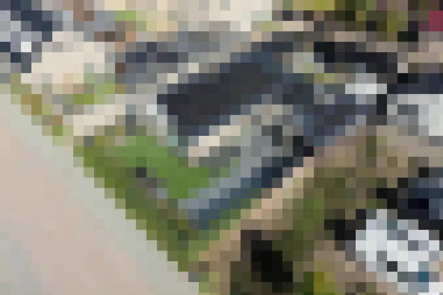 Leeuwenbekstraat 6 St. Willebrord thumbnail 7