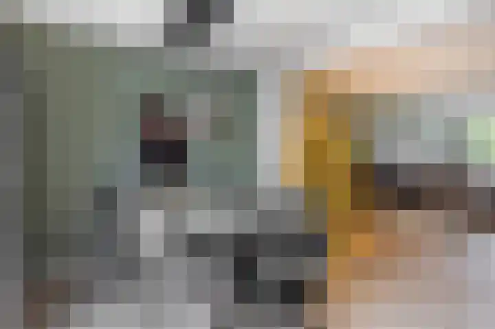 Leeuwenbekstraat 6 Waalwijk thumbnail 13