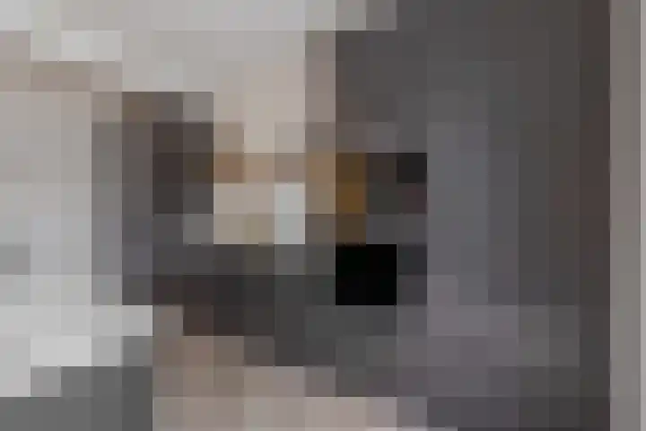 Leeuwenbekstraat 6 Waalwijk thumbnail 14