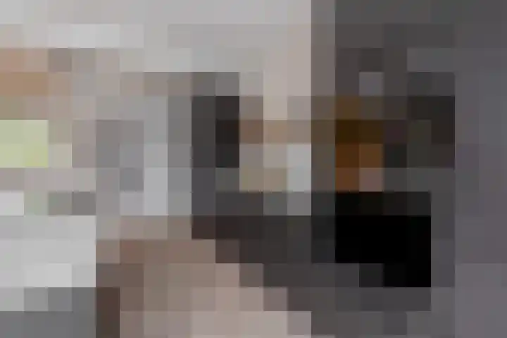 Leeuwenbekstraat 6 Waalwijk thumbnail 15