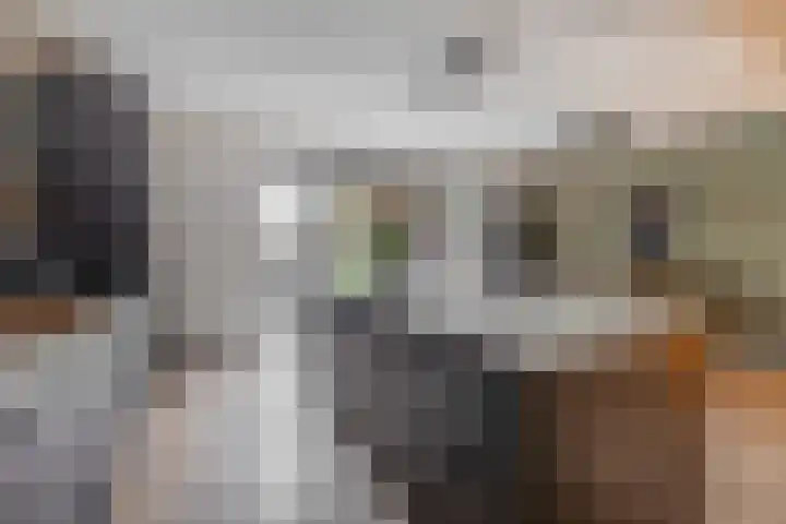Leeuwenbekstraat 6 Waalwijk thumbnail 16