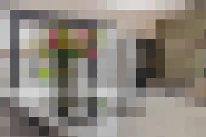 Leeuwenbekstraat 6 Waalwijk thumbnail 17