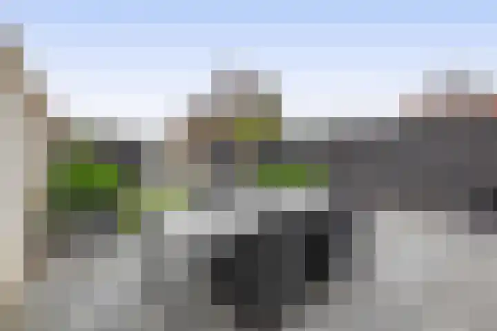 Leeuwenbekstraat 6 Waalwijk thumbnail 18