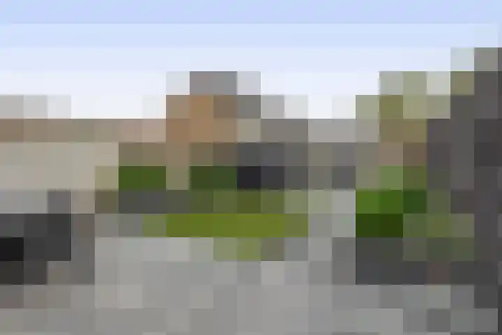 Leeuwenbekstraat 6 Waalwijk thumbnail 19