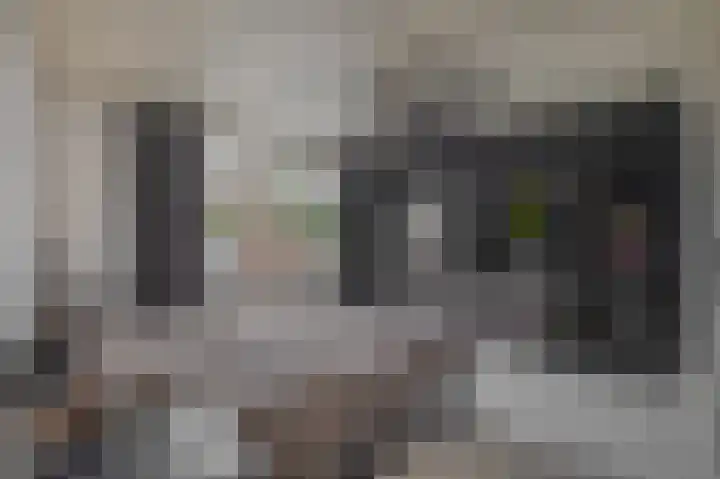 Leeuwenbekstraat 6 Waalwijk thumbnail 23
