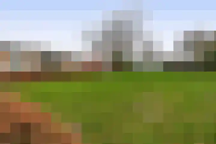 Leeuwenbekstraat 6 Waalwijk thumbnail 31